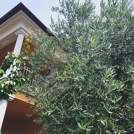 Apartmán Dubravka