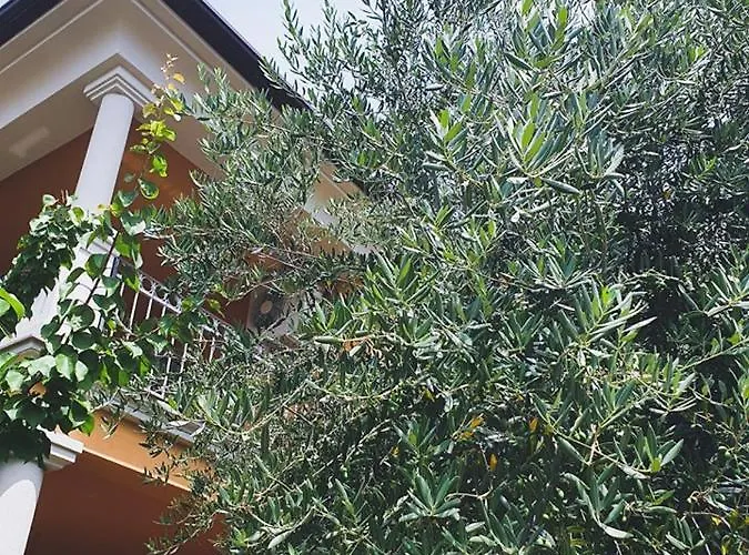 Apartmán Dubravka